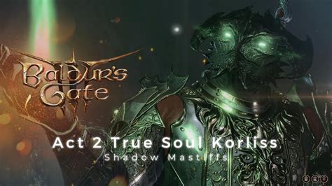 updated Sep 14, 2023. . Bg3 true soul korliss torches
